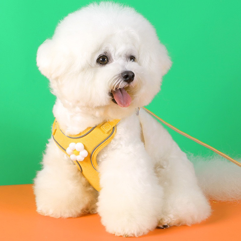 Arnés para Perro Morado con Decoración de Gatitos - Imagen 2