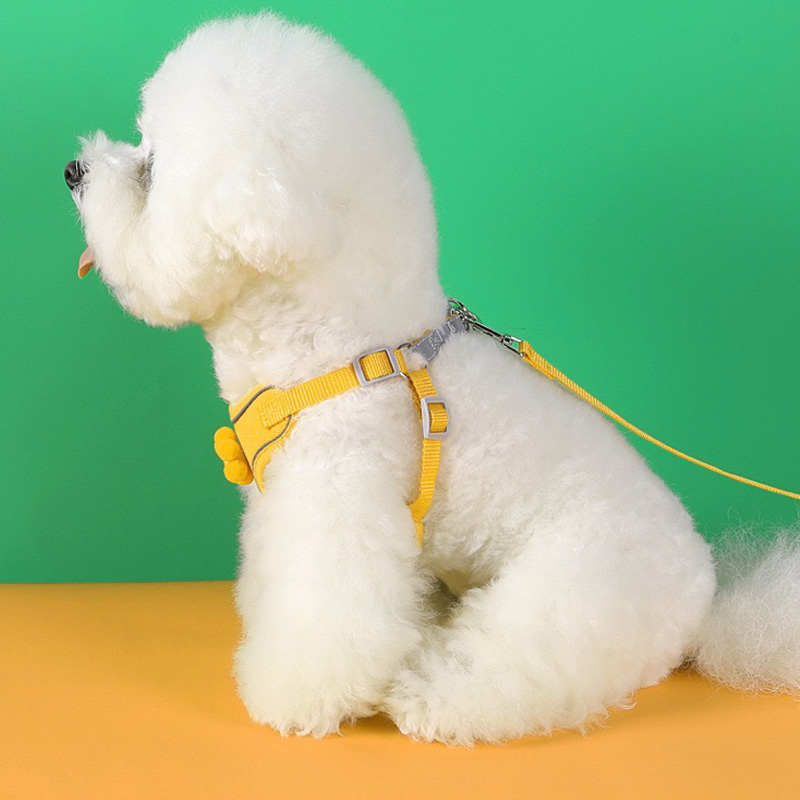 Arnés para Perro Morado con Decoración de Gatitos - Imagen 6