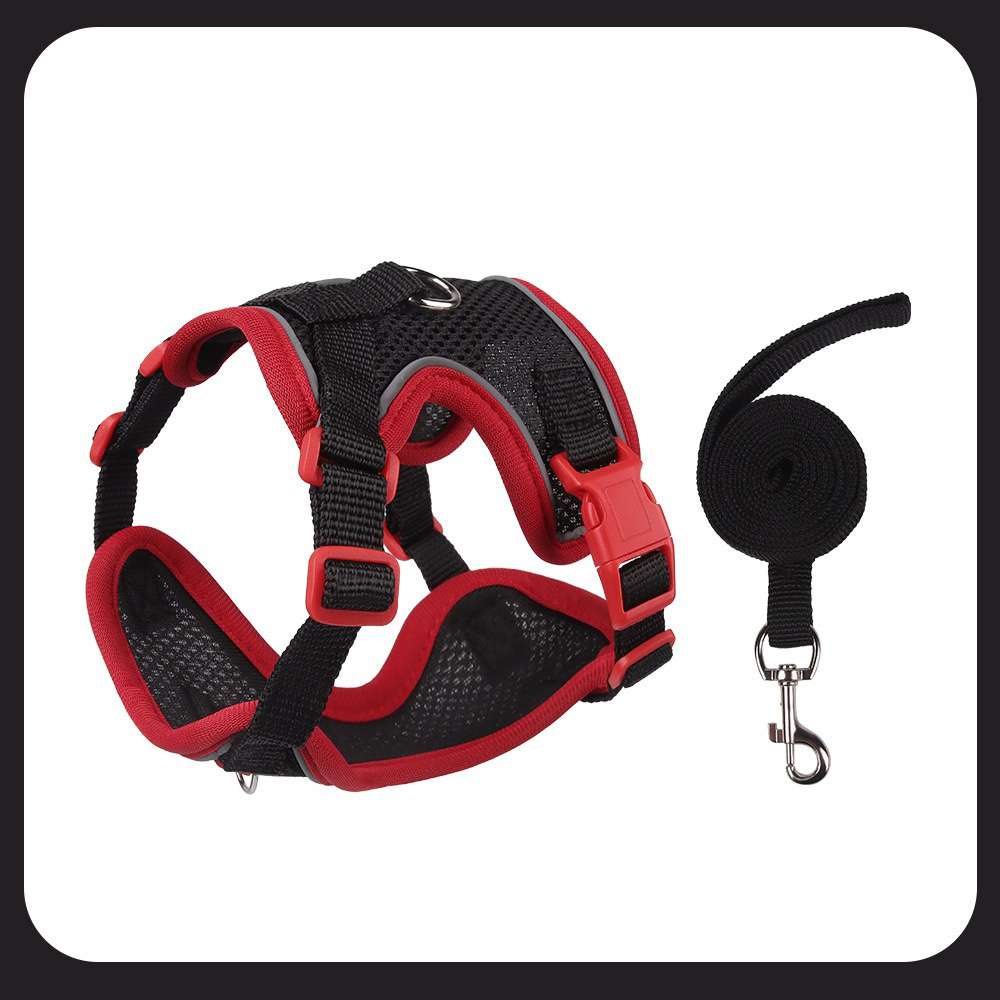 Arnés para Perro de Colores Contrastantes Negro