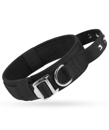 Collar Perro Mediano Grande Nylon Ajustable Negro