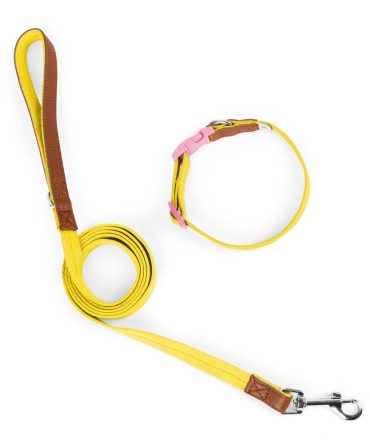 Set Correa + Collar para Perro Nylon Cuero Amarillo