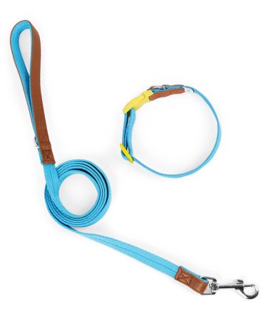 Set Correa + Collar para Perro Nylon Cuero Azul