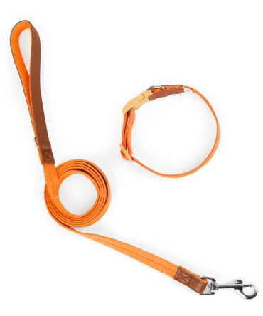 Set Correa + Collar para Perro Nylon Cuero Naranja