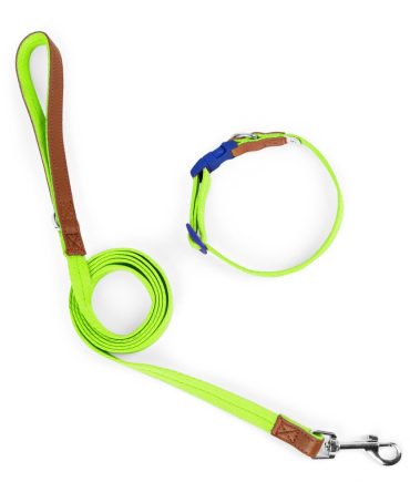 Set Correa + Collar para Perro Nylon Cuero Verde