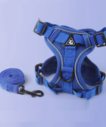 Arnés para Perros Estilo Clásico con Bandas Reflectantes Azul